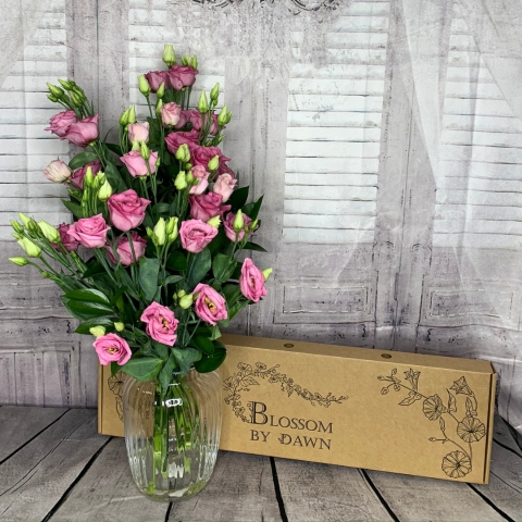 Pink Lisianthus